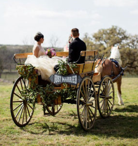 Horse Carriage Wedding